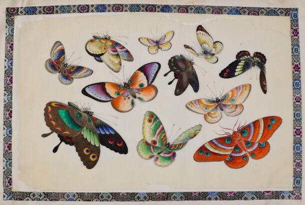 Rotunda Pith Paper Butterflies panel