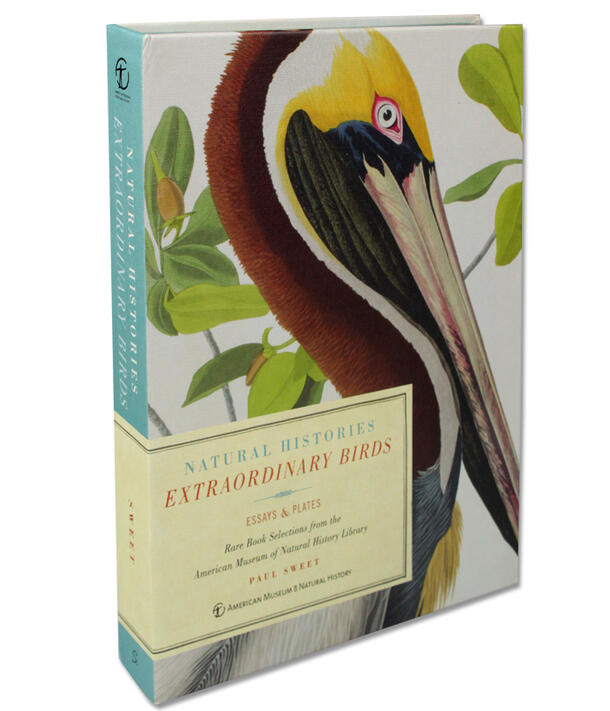 Extraordinary Birds: selections from the AMNH rare book collection