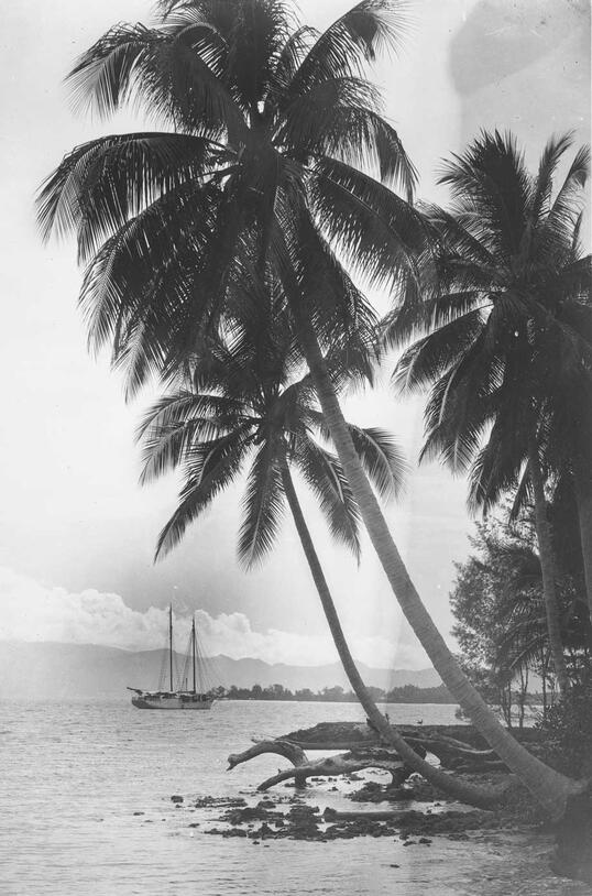 Two-masted schooner used by AMNH trip to the Solomon Islands in 1920s