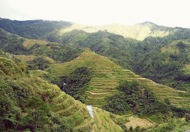 Banaue Rice Terraces (ifugao)