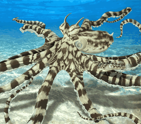A mimic octopus whose skin pattern conceals a small fish.