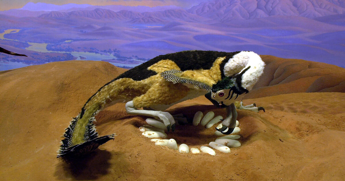 dinosaurs are extinct animals