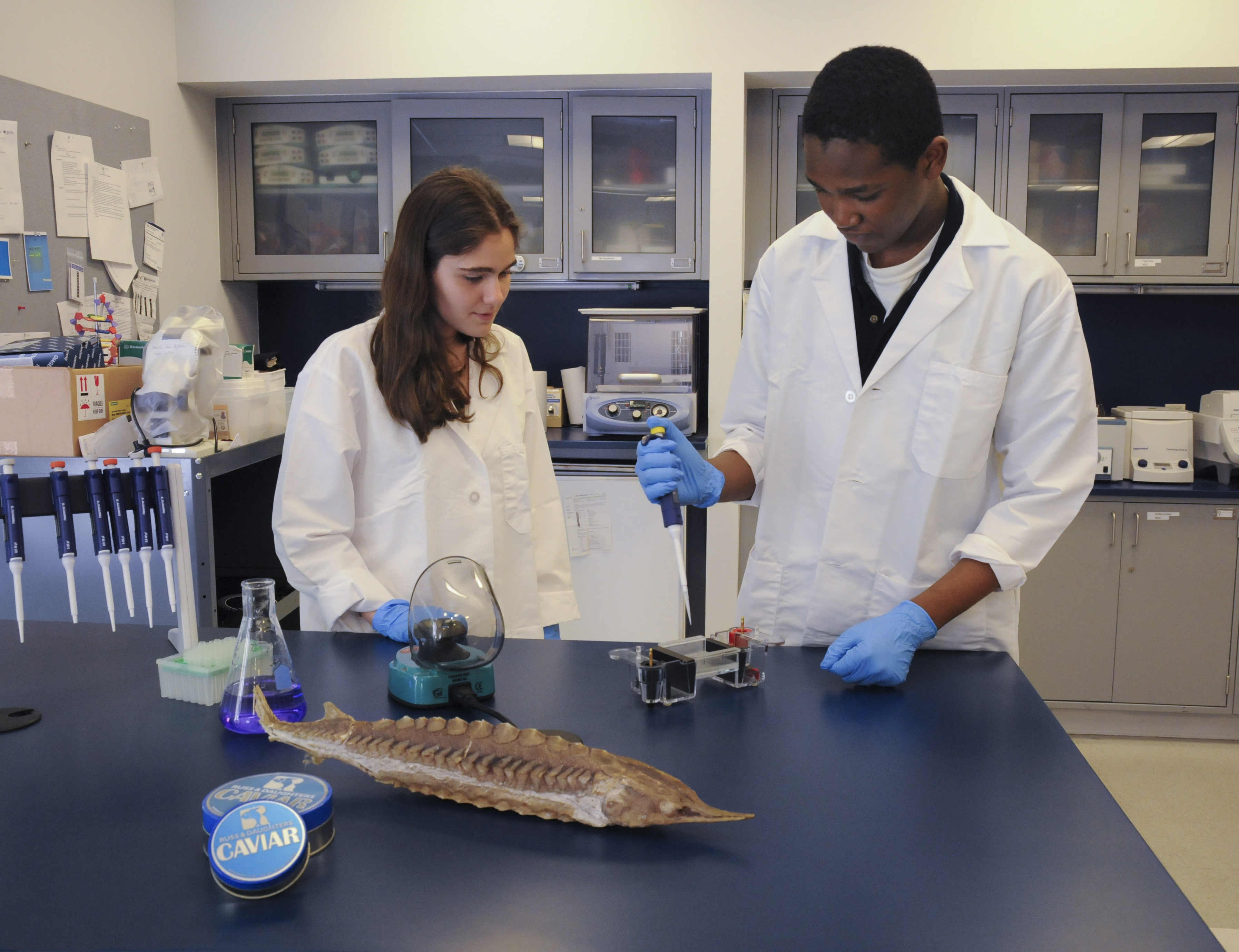 Two teenagers wearing lab coats at a laboratory table with equipment.