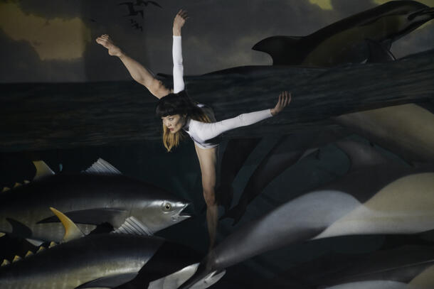 A woman wearing a dance leotard, in an exaggerated pose with arms and legs spread wide. She is surrounded by models of fish and dolphins.