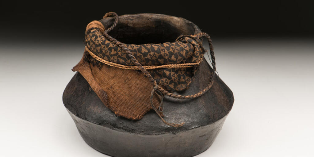 Curare Pot On Display In The Power Of Poison Amnh