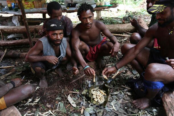 Indigenous men eating large insect grubs prepared on a large green leaf.
