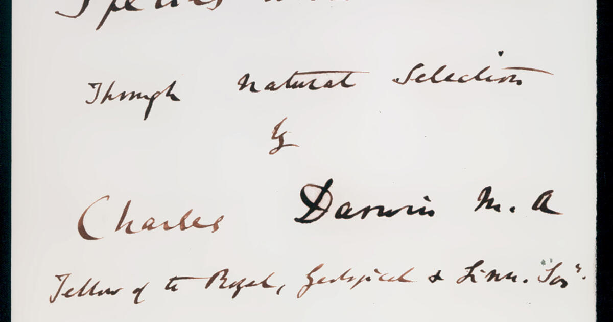 Bibliography Darwin Manuscripts Project AMNH