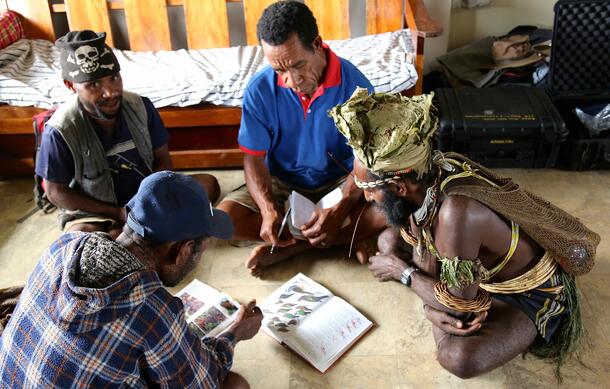 Scientists sharing research in Papua New Guinea