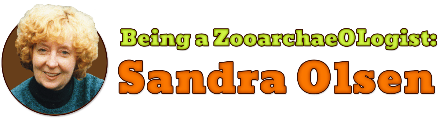 Being a Zooarchaeologist: Sandra Olsen