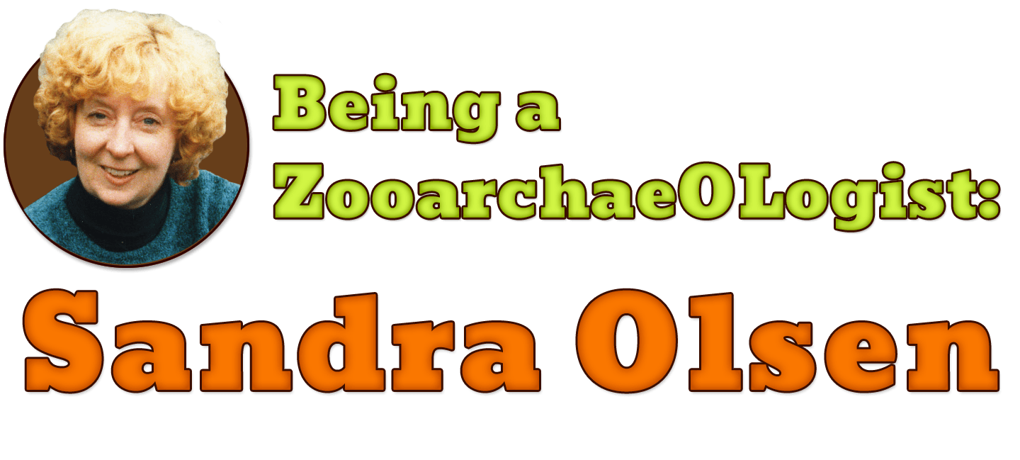 Being a Zooarchaeologist Sandra Olsen AMNH