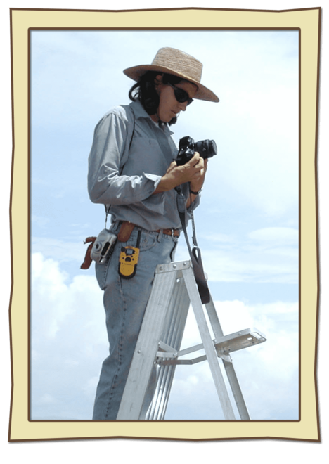 Christina Elson in the field on a ladder adjusting her camera settings