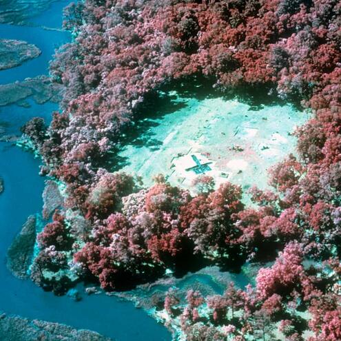 aerial view of site showing a clearing amidst foliage