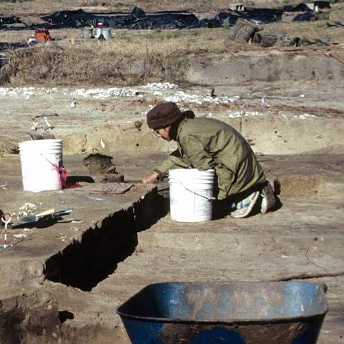 scientist kneeling down and starting to dig