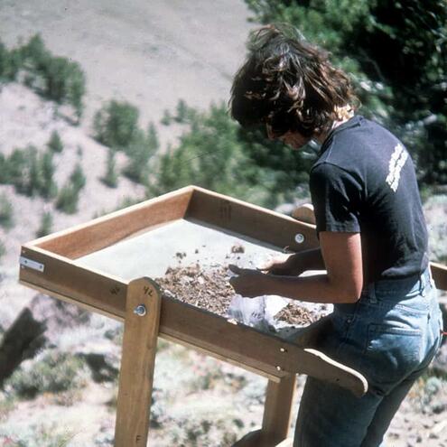 scientist combing through dirt on sifter screen