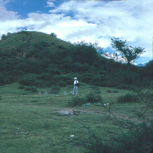 lush landscape with hill