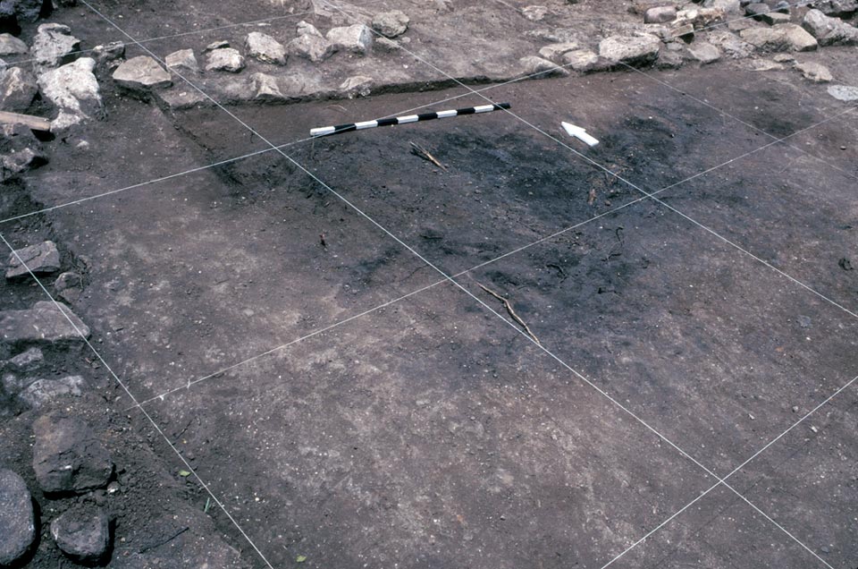 String grid overlaying a dirt area with rocky edges.
