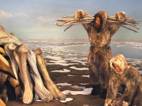 early human in animal fur clothing next to pile of large bones