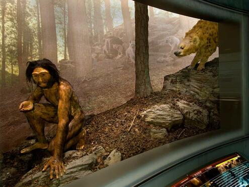 early human diorama