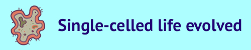 amoeba icon with text Single-celled life evolved