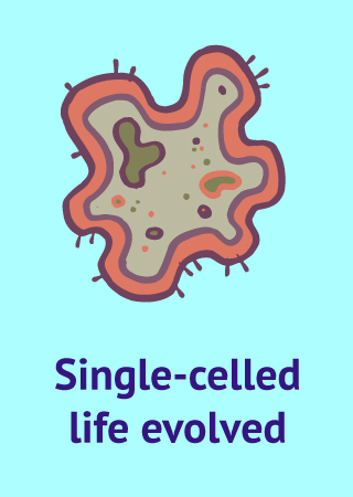 bacteria icon with text Single-celled life evolved