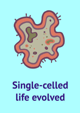 bacteria icon with text Single-celled life evolved