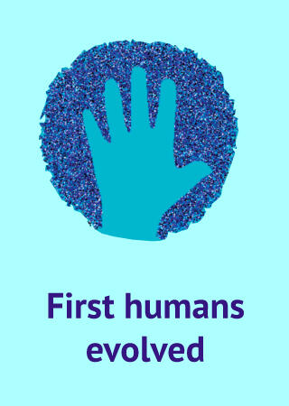 human hand icon with text First humans evolved