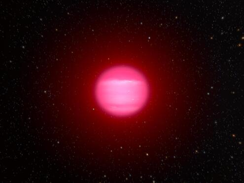 A brown dwarf