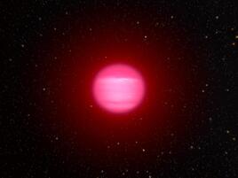 A brown dwarf