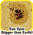 A sunspot (markings on the surface of the sun that appear darker than the rest) inside of a rounded square captioned "Sun Spot (bigger than Earth)."