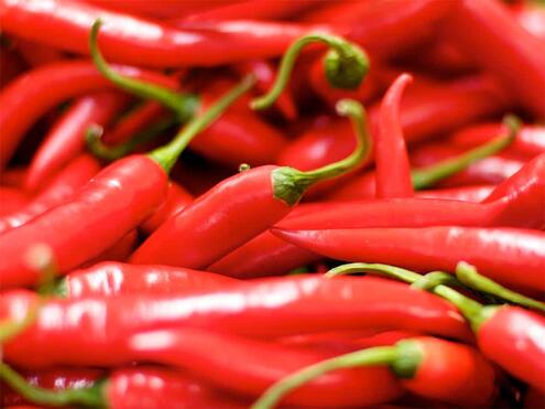 bright red chili peppers