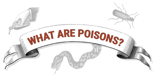 Banner with the words What Are Poisons? surrounded by a snake, a beetle, and a hand pouring a liquid out of bottle with skull and crossbones