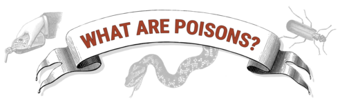 Banner with the words What Are Poisons? surrounded by a snake, a beetle, and a hand pouring a liquid out of bottle with skull and crossbones