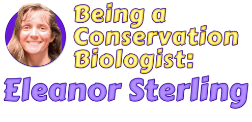 Being a Conservation Biologist: Eleanor Sterling