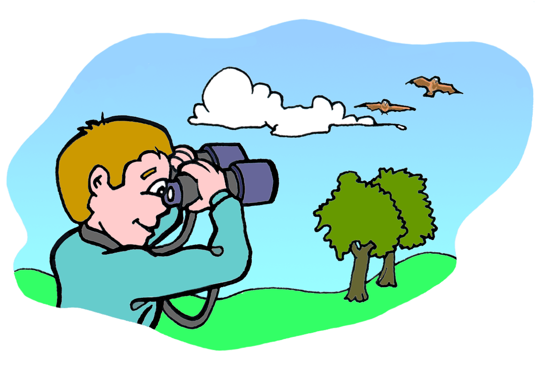 drawing of a boy looking through binoculars at two birds flying above two trees in a field.