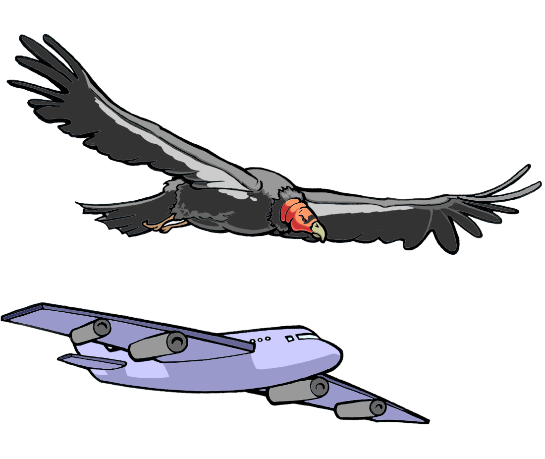 drawing of a flying vulture and a jet plane, showing their similar body and wing positions.