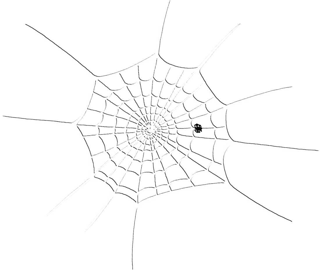 drawing of a web with a small spider near the bottom of it.
