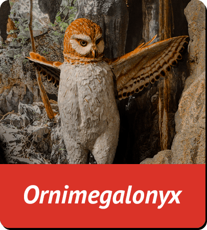 Ornimegalonyx