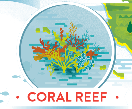 coral reef