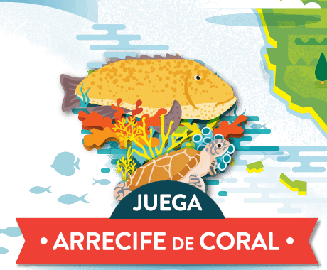 Juega Arrecife de Coral