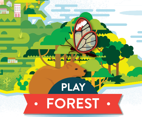 Play Forest