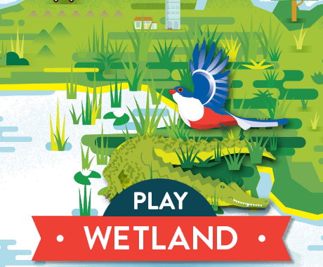 Play Wetland