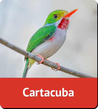 Cartacuba