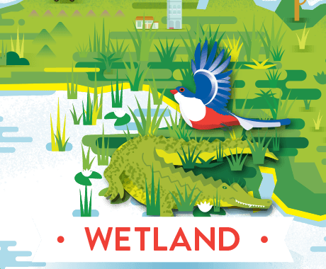 wetland