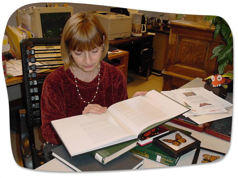 Ivy reading a reference book