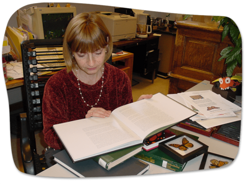 Ivy reading a reference book