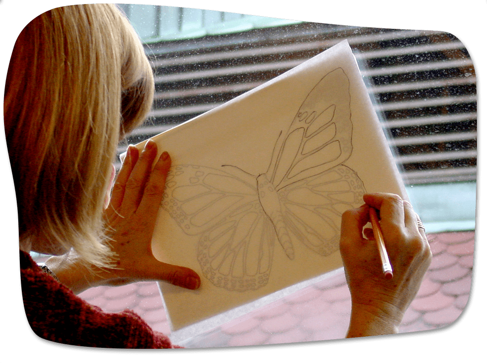 Ivy tracing the monarch by holding pages up to the light of a window