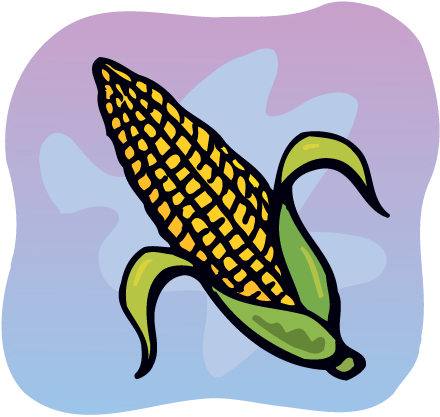 corn