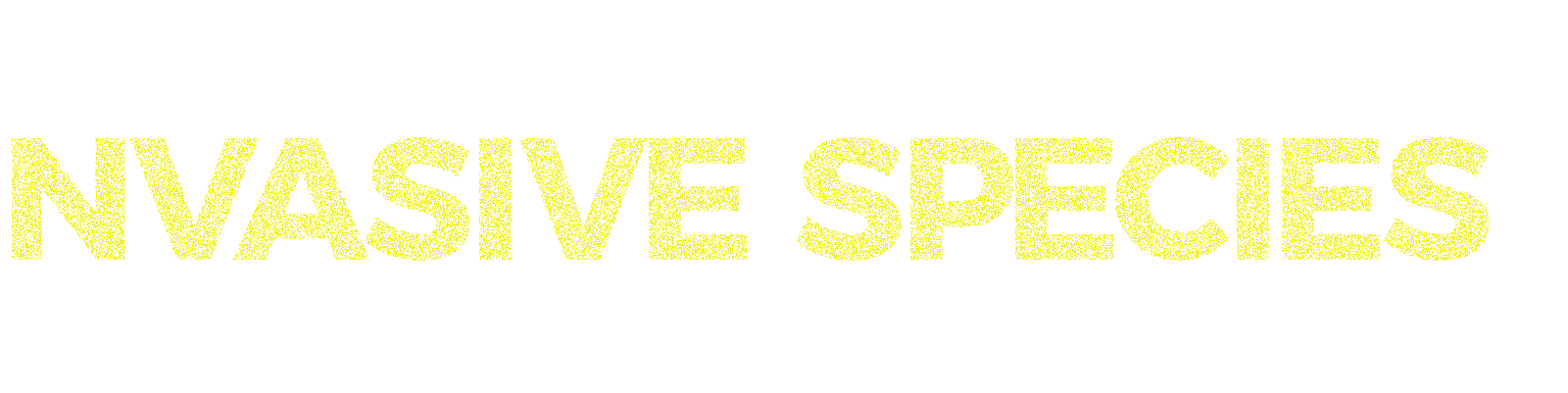 Invasive Species graphic title