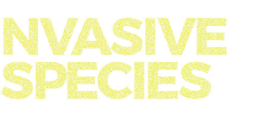 title-Invasive-Species_mobile