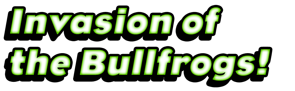 Invasion of the Bullfrogs!